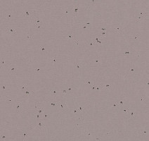 Линолеум Forbo Sphera Energetic 50219 dolphin фото 1 | FLOORDEALER